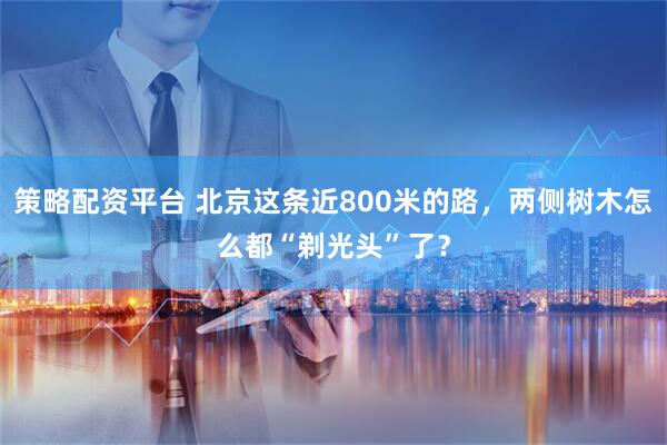 策略配资平台 北京这条近800米的路，两侧树木怎么都“剃光头”了？