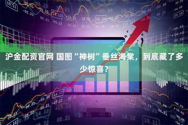 沪金配资官网 国图“神树”垂丝海棠，到底藏了多少惊喜？