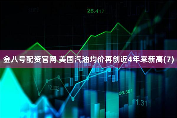 金八号配资官网 美国汽油均价再创近4年来新高(7)