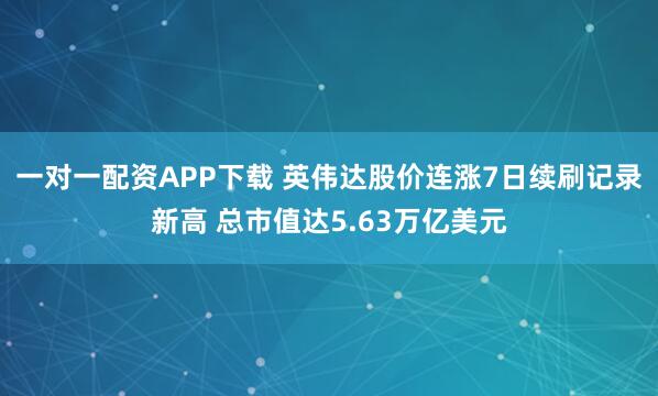 一对一配资APP下载 英伟达股价连涨7日续刷记录新高 总市值达5.63万亿美元